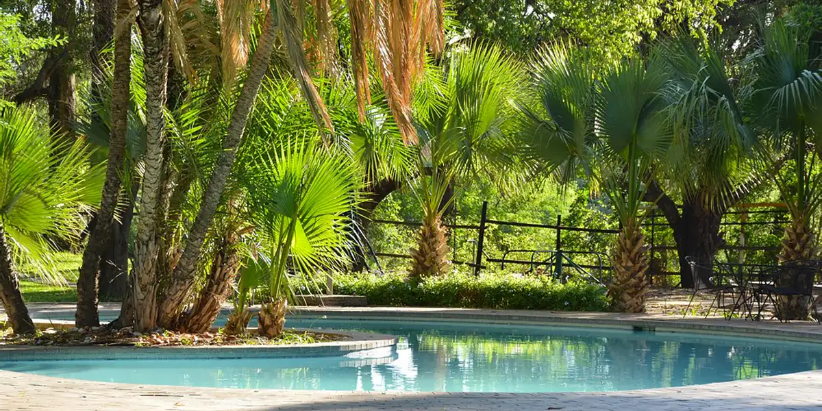 Mice-Management-Botswana-Venue4