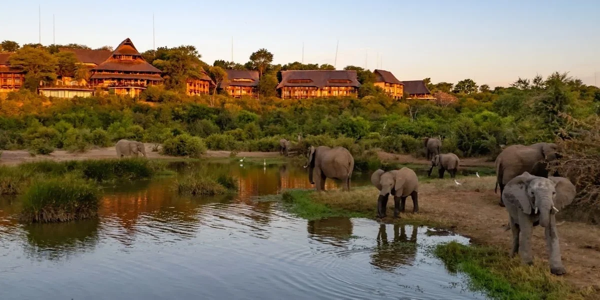 Mice-Management-Zimbabwe Venue6